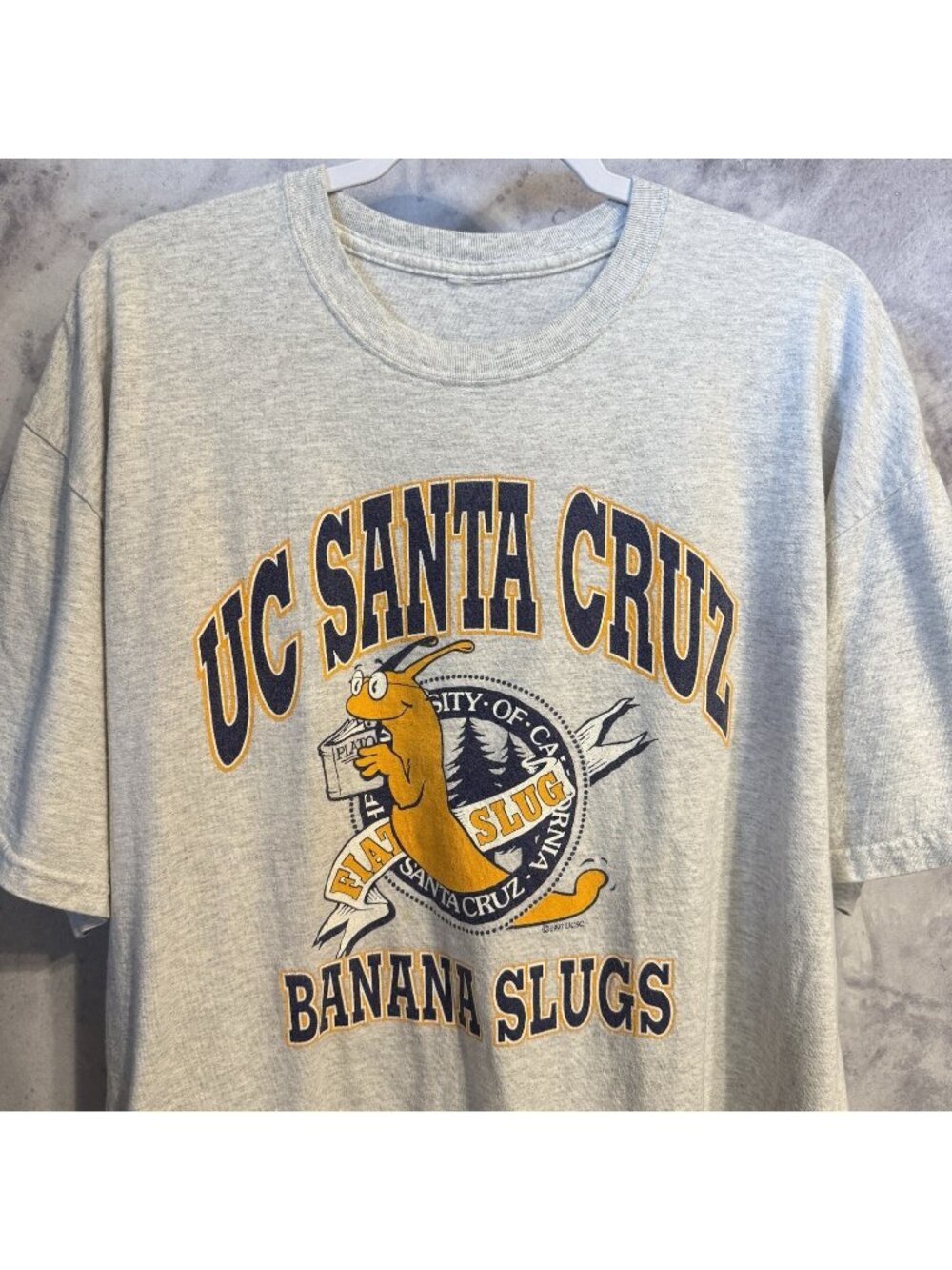 Vintage UC Santa Cruz Banana Slugs T Shirt Pulp Fiction Heather Gray Size XL